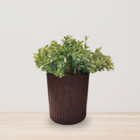 Vaso de Planta Pequeno em Madeira|Plástico 18x15,4cm Sustentável Imbuia Tronco Evo Design